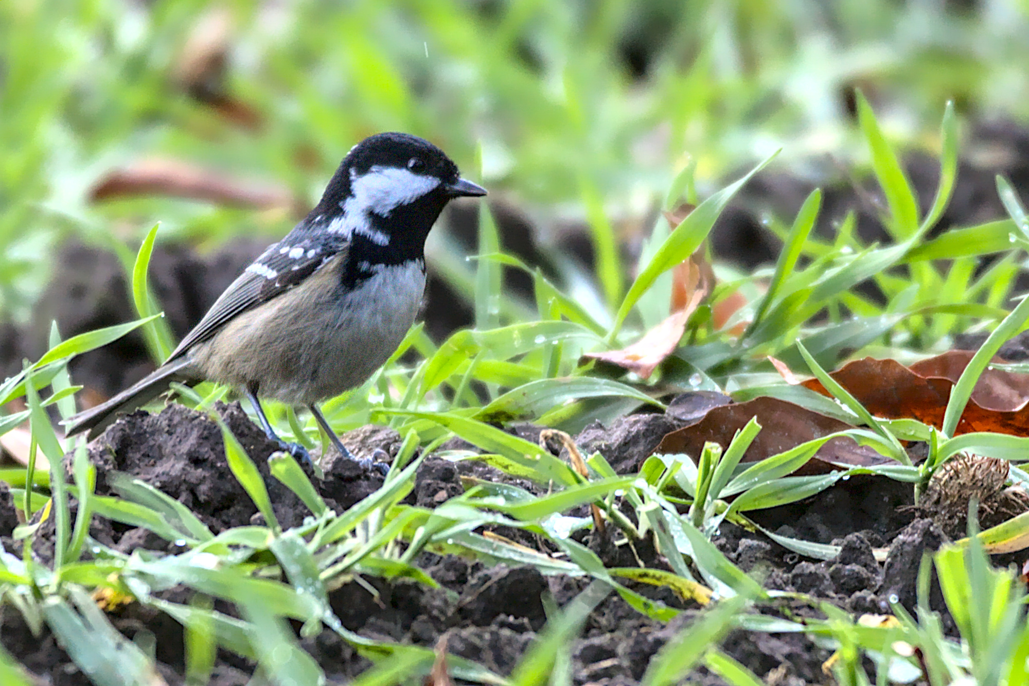 "Da bin ich. Und nun?"